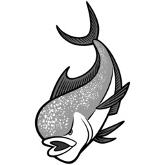 Wall Mural - Mahi Mahi Mascot illustration