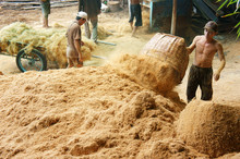 Asian Worker, Coconut Fiber Industry, Vietnamese