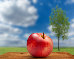 Wall Mural - Red apple on sky and tree background