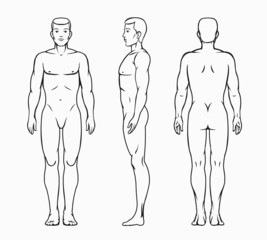 male body vector illustration