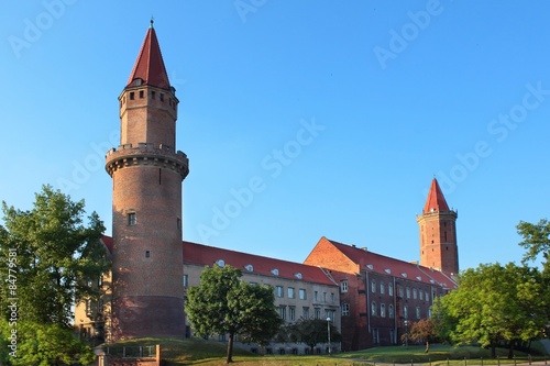 Dekoracja na wymiar  zamek-w-legnicy-polska