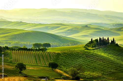 Nowoczesny obraz na płótnie Green Tuscany hills