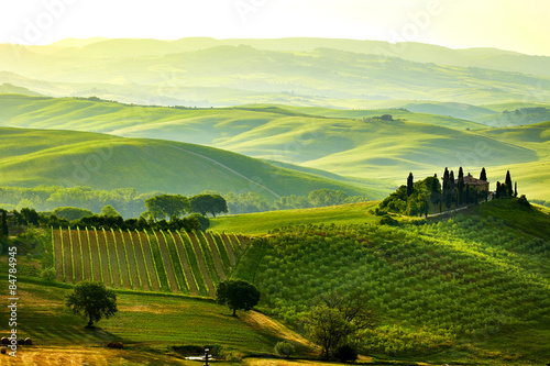 Naklejka nad blat kuchenny Green Tuscany hills