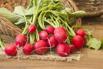 Wall Mural - Fresh radishes on old wooden table