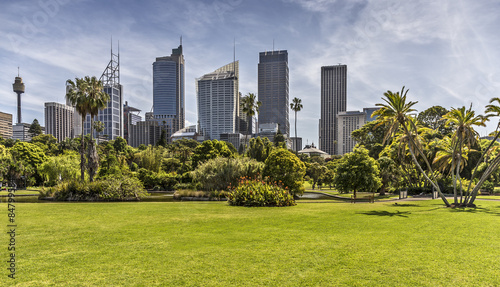 Obraz na płótnie Panorama w Sydney Botanical Garden