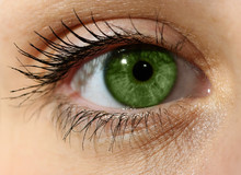 Close Up Green Eye With Makeup 