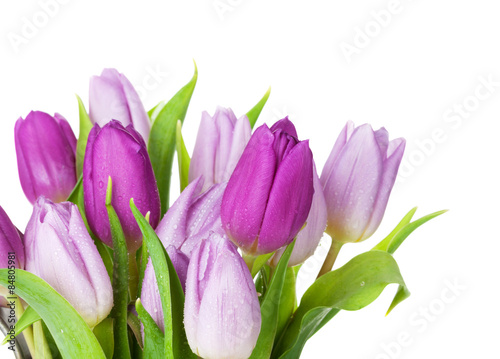 Naklejka na drzwi Purple tulip bouquet