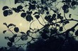 canvas print picture - Melancholische Natur - Löcherige Blätter zeichnen ein Muster in den Himmel, der Mond im Hintergrund sorgt für eine melancholische, mystische Stimmung.