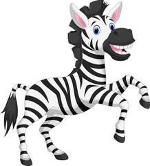 Cute zebra cartoon