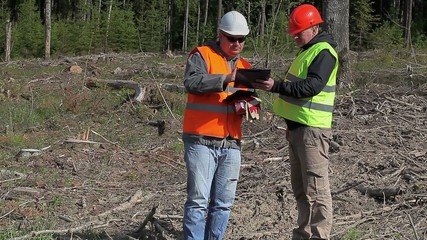 Poster - Forest engineer make signature in documents