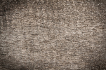 Rough wood texture. Abstract background