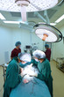 © nimon_t - group of veterinarian surgery in operation room