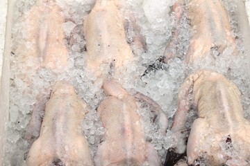  Raw fresh duck on ice