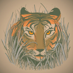 Vector illustration of a tiger's face in jungle grass.