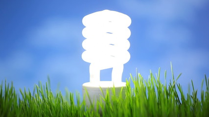 compact fluorescent light bulb in grass