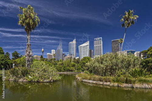 Botanischer Garten In Sydney Mit Wasserteich Im Vordergrund Buy