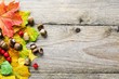 Autumn background with colorful fallen leaves, acorns and berries on wooden table, copy space