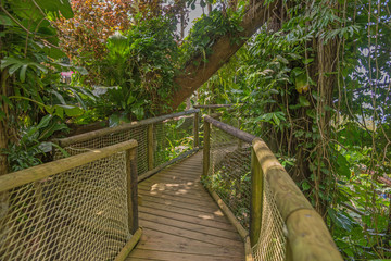 Weg im Park, Parc des Mamelles in Guadeloupe