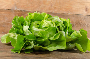 Lettuce salad