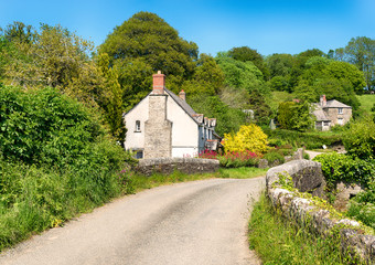 Wall Mural - Country Lane in Cornwall