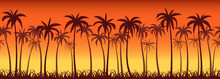 Tropical Sunset With Palm Trees, Seamless Background