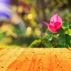 Wall Mural - Fresh spring green grass with green bokeh and sunlight and wood