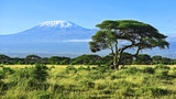 Fototapeta Tęcza - Mount Kilimanjaro