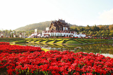  Royal Flora Ratchaphruek Park In Chiangmai Thailand