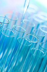 Wall Mural - laboratory test tubes
