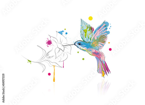 Kolibri trinkt Nektar aus einer Blüte