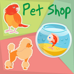 Parrot, poodle and Gold Fish in Pet Shop