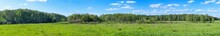 Summer Forest And Blue Cloudy Sky Panoramic