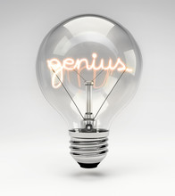 Conceptual Light Bulb (Set) - Genius