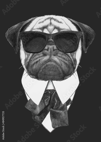 Plakat na zamówienie Hand drawn fashion Illustration of Pug Dog with sunglasses. Vector isolated elements.