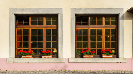 Wall Mural - Typical alsacien house in small village, Bas-Rhin