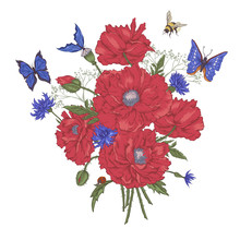 Greeting Card With Blooming Red Poppies 