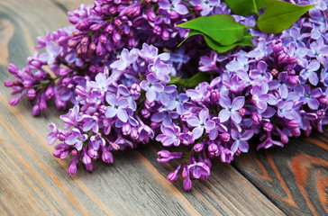 Sticker - Lilac flowers