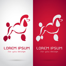 Vector Image Of An Poodle Dog Design On White Background And Red