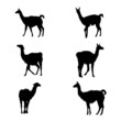 Collection of guanaco' silhouettes