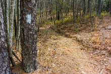 Oconee State Park, South Carolina Free Stock Photo - Public Domain Pictures