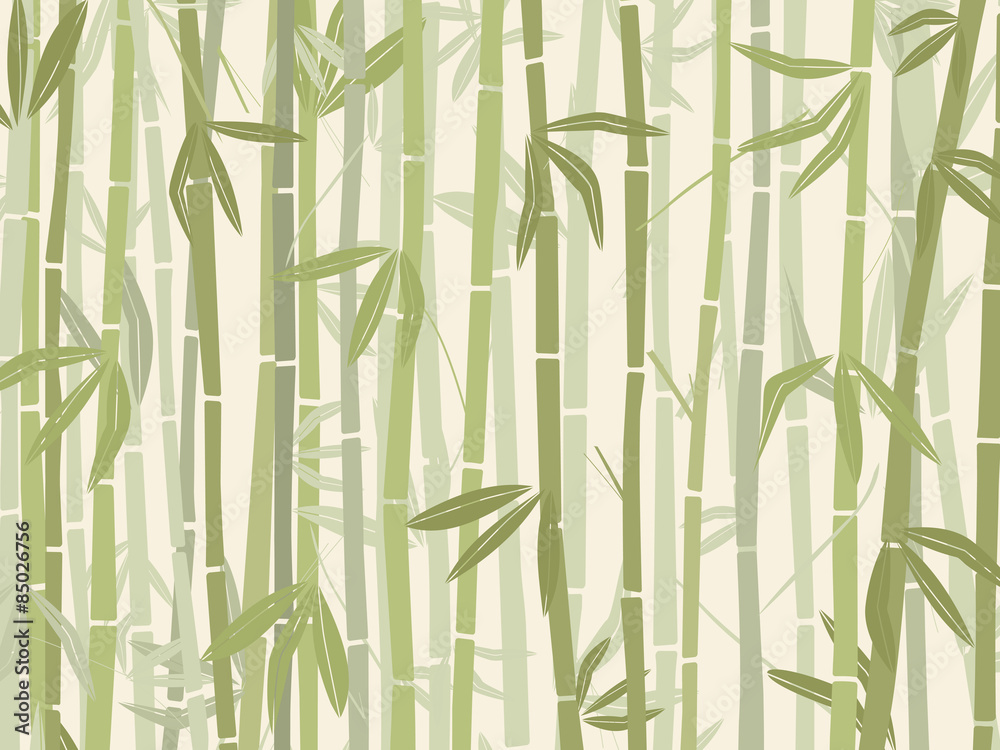 bamboo-forest