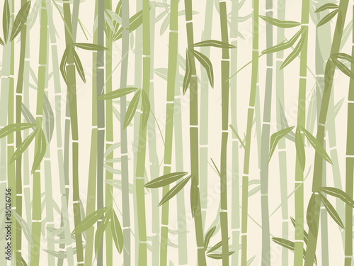 bamboo-forest