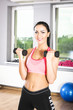 © Robert Latawiec - exercises with dumbbells