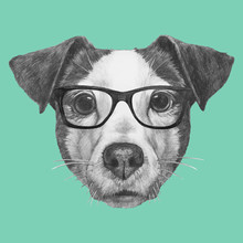 Hand Drawn Portrait Of Jack Russell With Glasses. Vector Isolated Elements.