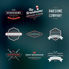 Set of Hipster Vintage Labels, Logotypes, Badges for Your Business