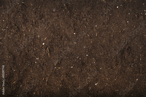 Cuadros en Lienzo brown background of soil for gardening studio shoot