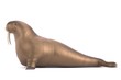 3d render of walrus animal