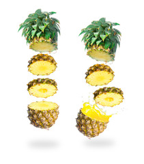 Poster - Tasty tropical pineapple slices juice burst