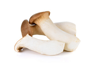 Poster - king oyster mushroom on white background