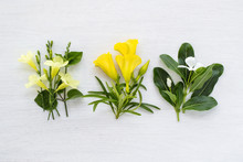 Three Bouquets Of Yellow And White Flowers On White Background